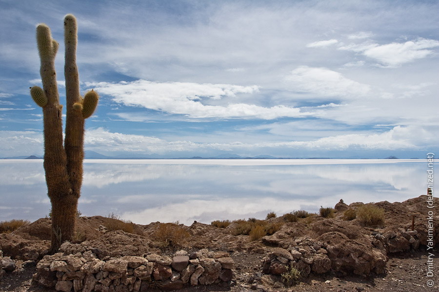 Uyuni 2, January 2010, photo 20 of 35
