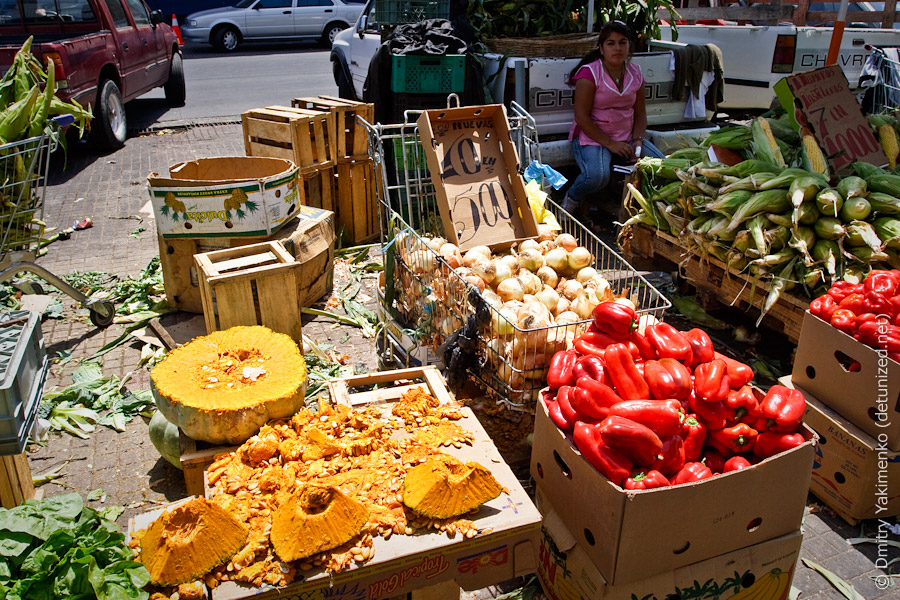 Valparaiso, January 2010, photo 3 of 24