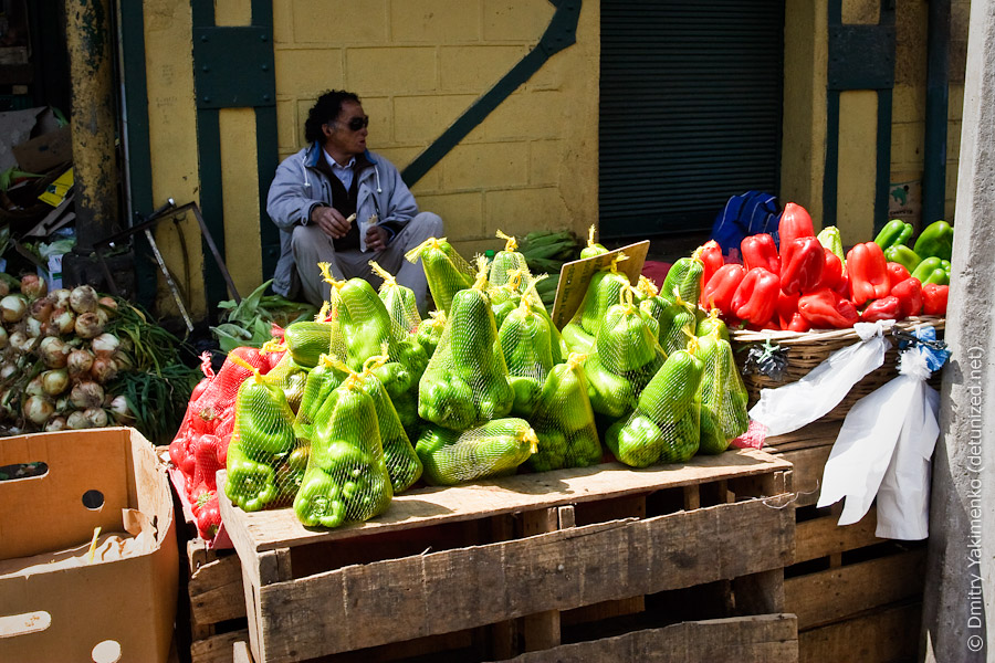 Valparaiso, January 2010, photo 7 of 24