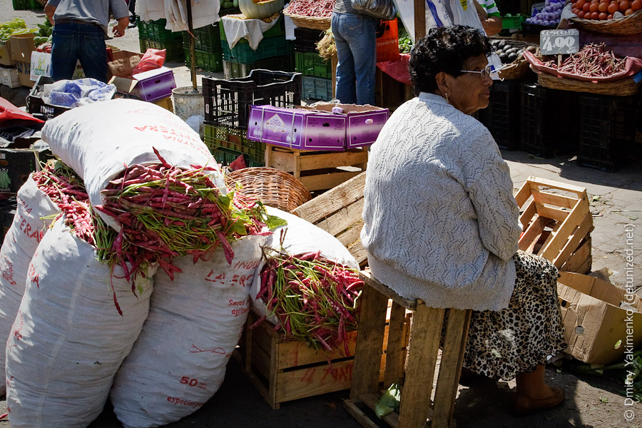 Valparaiso, January 2010, photo 8 of 24