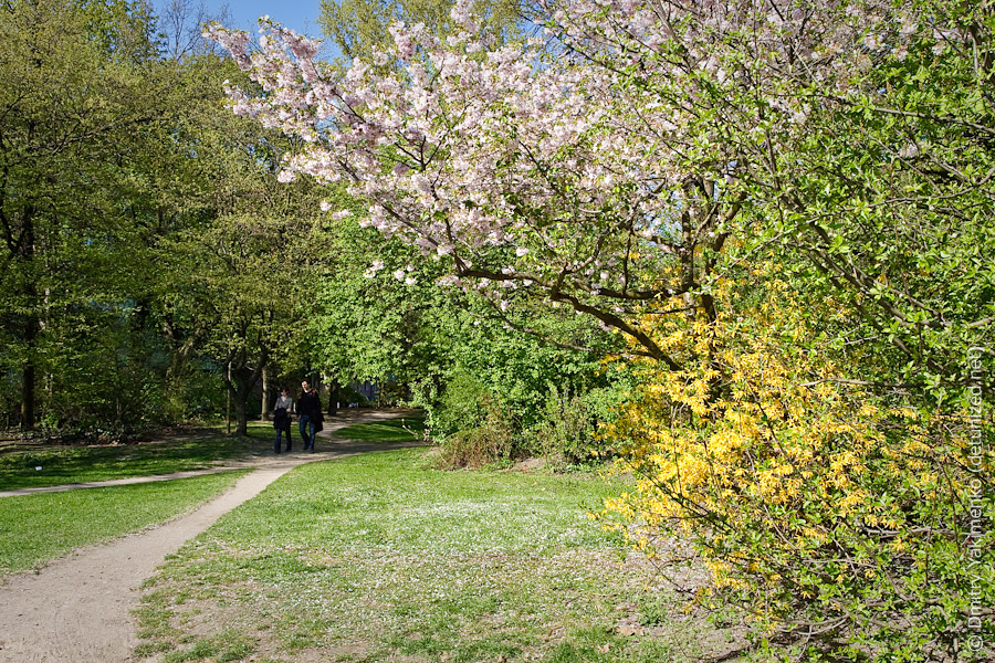 Berlin, April 2010, photo 17 of 20