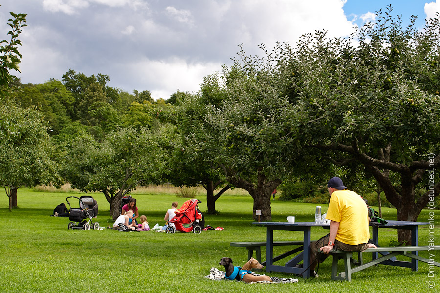 Stockholm, August 2010, photo 12 of 32