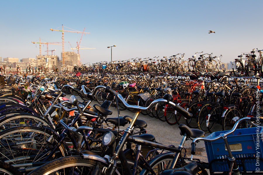 Amsterdam, October 2011, photo 2 of 35