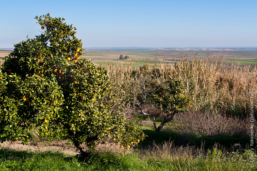 Spain, December 2011, photo 11 of 12