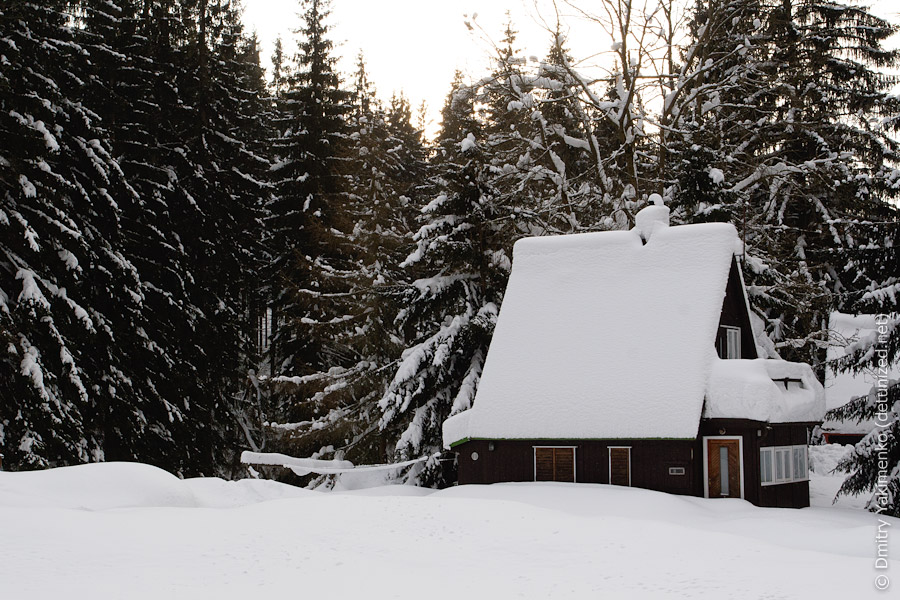 Harrachov, January 2012, photo 14 of 18