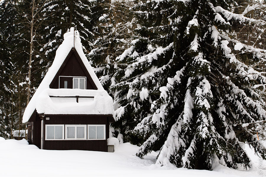 Harrachov, January 2012, photo 15 of 18