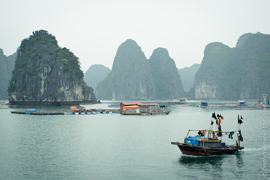 Ha Long Bay, March 2012, photo 12 of 23