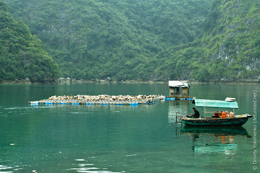 Ha Long Bay, March 2012, photo 18 of 23