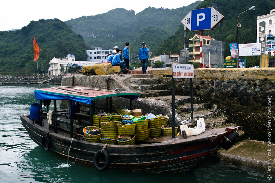 Ha Long Bay, March 2012, photo 20 of 23