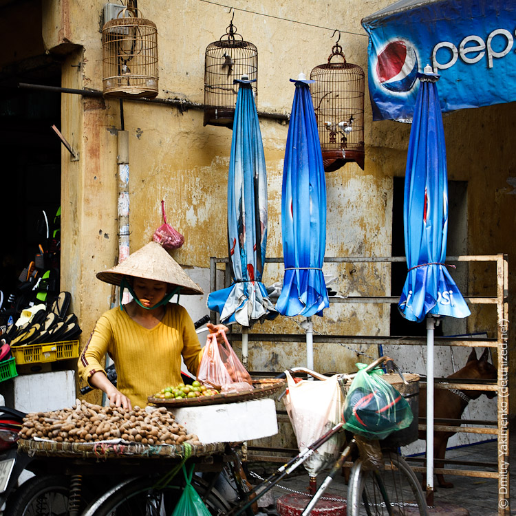 Hanoi Squared, March 2012, photo 16 of 32