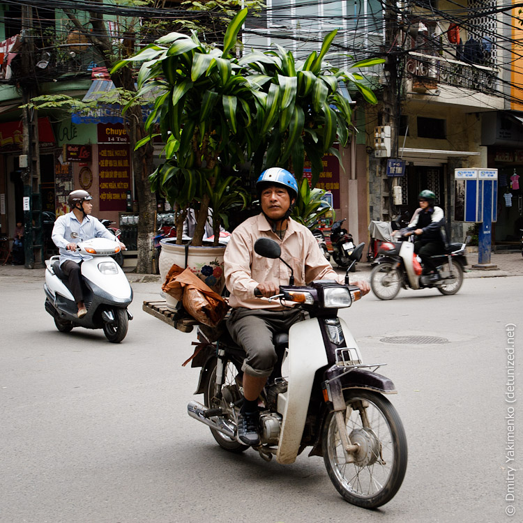Hanoi Squared, March 2012, photo 17 of 32