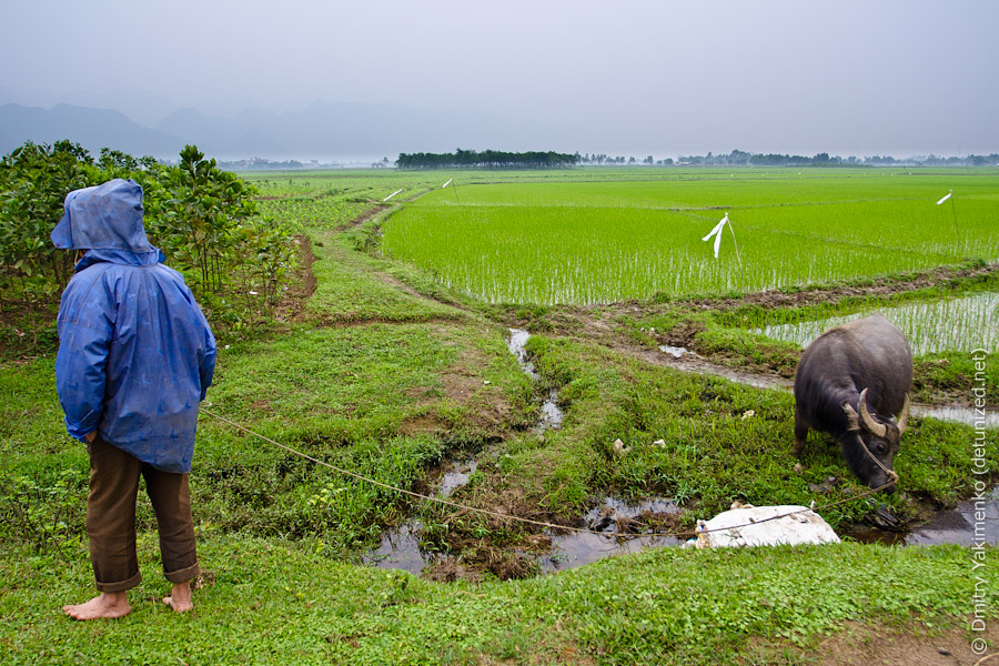 Nihn Bihn, March 2012, photo 19 of 24