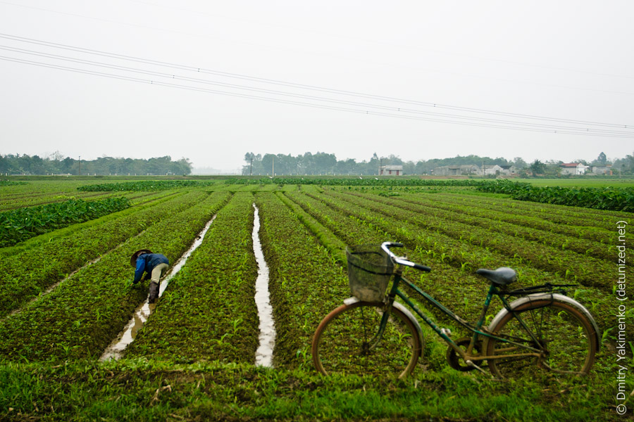 Nihn Bihn, March 2012, photo 20 of 24