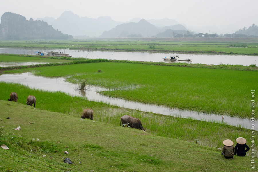Nihn Bihn, March 2012, photo 22 of 24