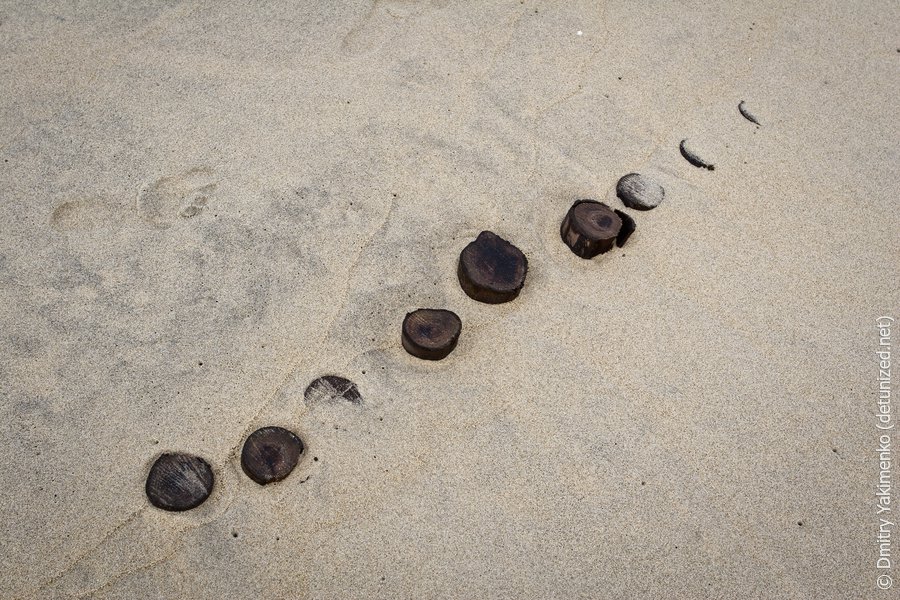 Hoi An Coast, March 2012, photo 7 of 11