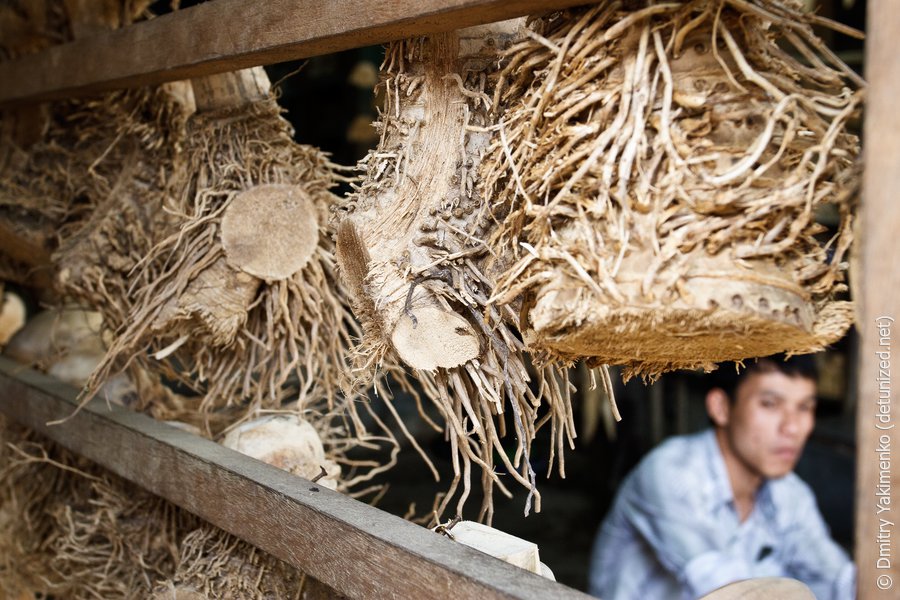 Hoi An, March 2012, photo 4 of 34