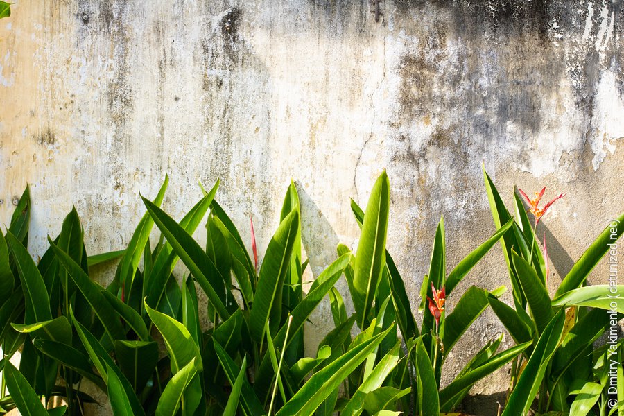 Hoi An, March 2012, photo 6 of 34