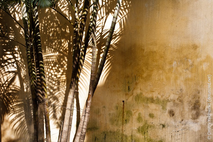 Hoi An, March 2012, photo 30 of 34