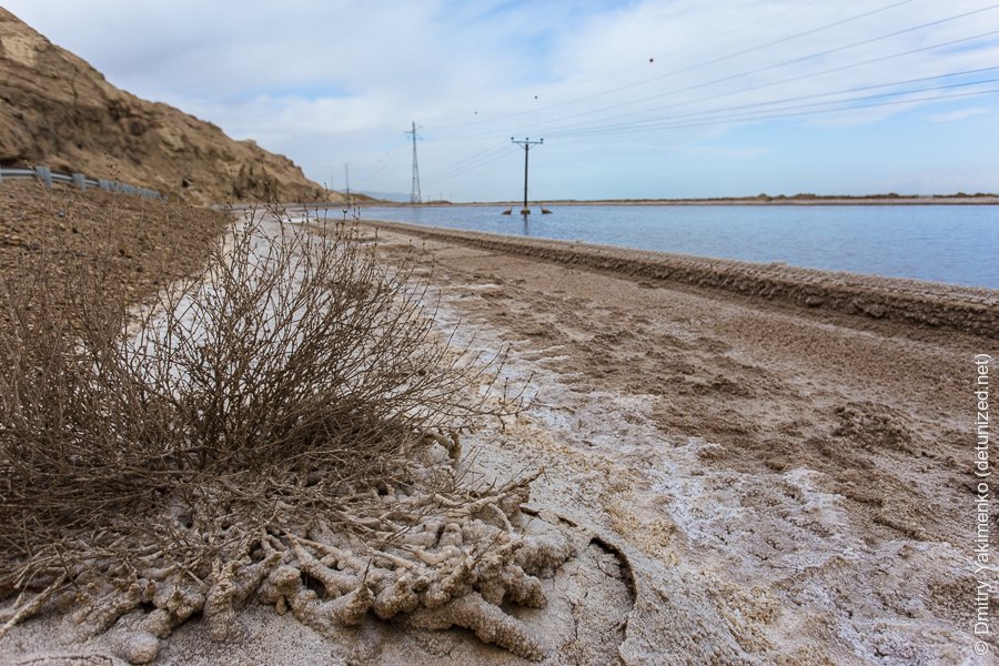Dead Sea, December 2013, photo 10 of 12