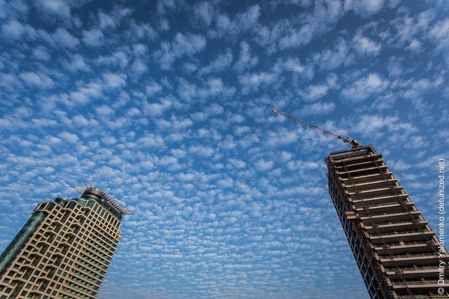 Tel Aviv, January 2014, photo 7 of 14