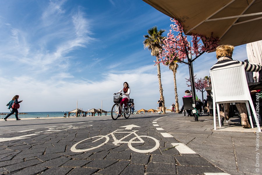 Tel Aviv, January 2014, photo 10 of 14
