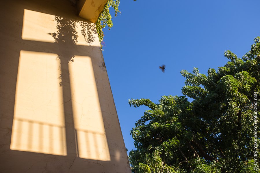 Seville, November 2014, photo 3 of 15