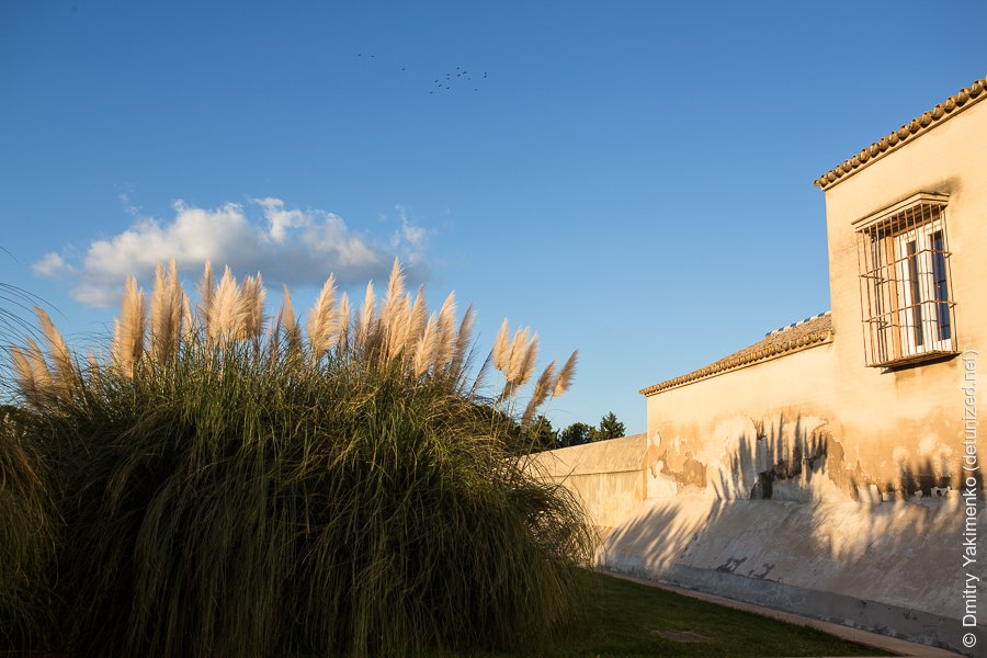 Seville, November 2014, photo 6 of 15