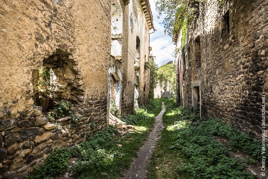 Janovas, September 2015, photo 6 of 16