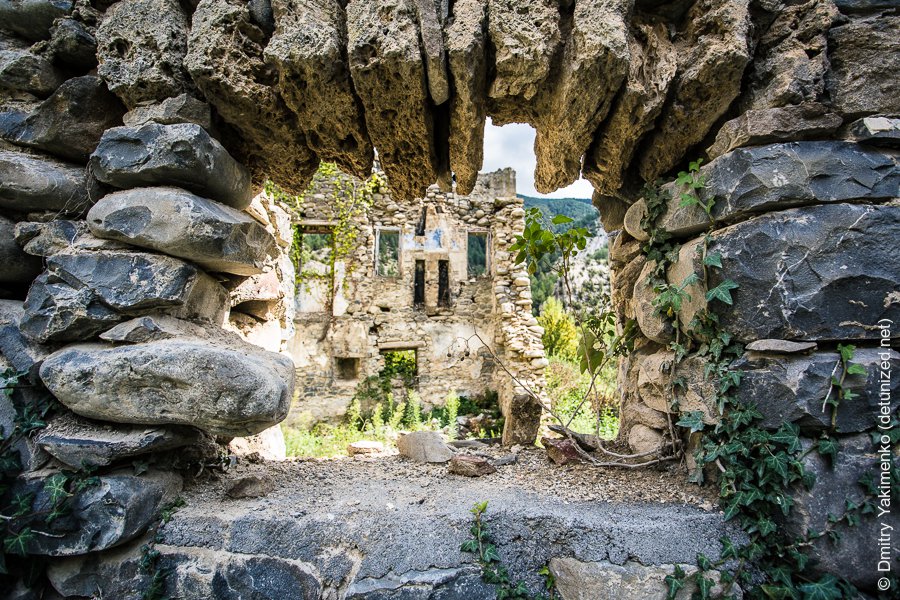 Janovas, September 2015, photo 7 of 16
