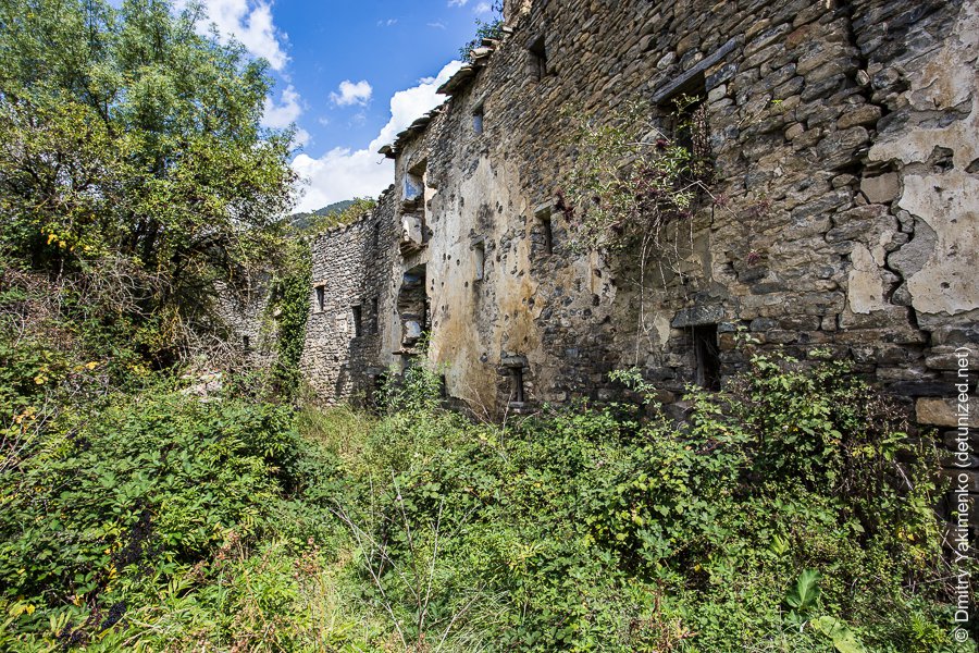 Janovas, September 2015, photo 9 of 16